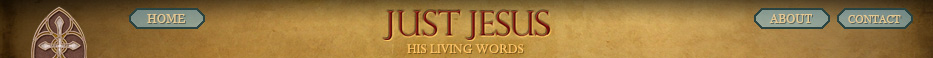 Just Jesus